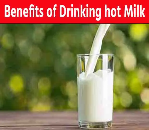Benefits Of Drinking Hot Milk गर्म दूध क्यों पियें गर्म दूध पीने के फायदे Newz Nagri