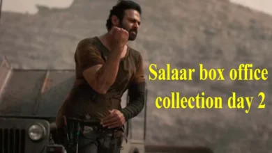 Salaar box office collection day 2