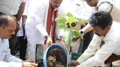 एक पेड़ माँ के नाम अभियान पर्यावरण संरक्षण की दिशा में बड़ा कदम: उप-मुख्यमंत्री