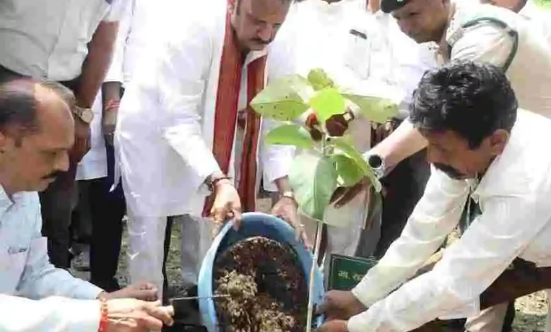 एक पेड़ माँ के नाम अभियान पर्यावरण संरक्षण की दिशा में बड़ा कदम: उप-मुख्यमंत्री