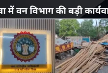 Forest: रीवा में वन विभाग की बड़ी कार्यवाही जप्त की लाखों की लकड़ी